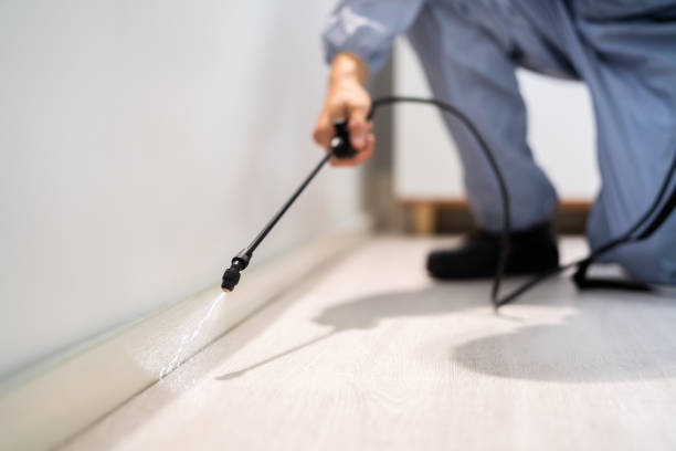 Bed Bug Pre-Treatment Preparation Assessment in North Grosvenor Dale