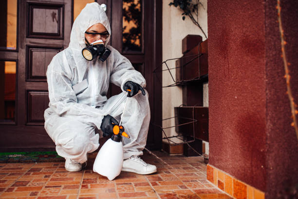 Multi-Unit and Airbnb Bed Bug Protocol in North Grosvenor Dale