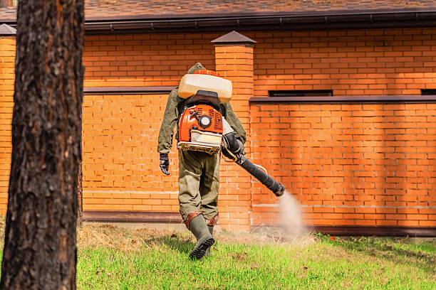 Bed Bug Clearance Verification and Documentation in North Grosvenor Dale